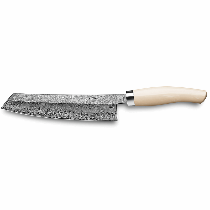 EXCLUSIVE C100 chef's knife