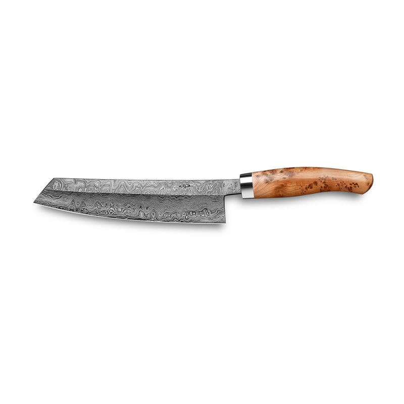 EXCLUSIVE C100 chef's knife